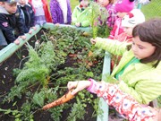 Zahradničíme ve školce